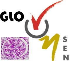 Logo Glosen